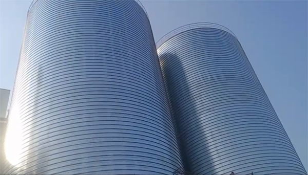 丽水2座混凝土高架卷板仓